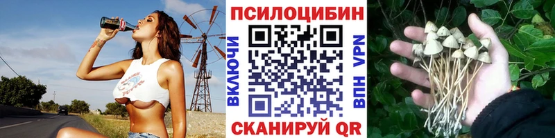 Псилоцибиновые грибы мухоморы  Новошахтинск 